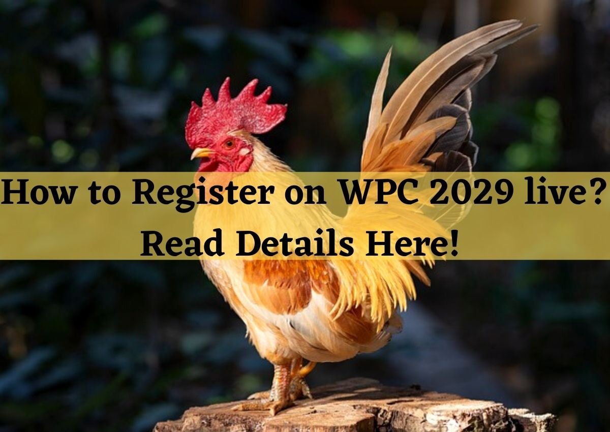 Wpc2029 live