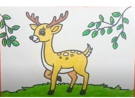 How to draw cartoon deer step by step.