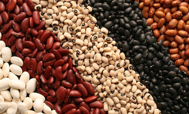 Enormous Benefits of Vigna Beans
