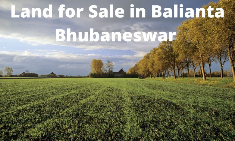Land for Sale in Balianta Bhubaneswar