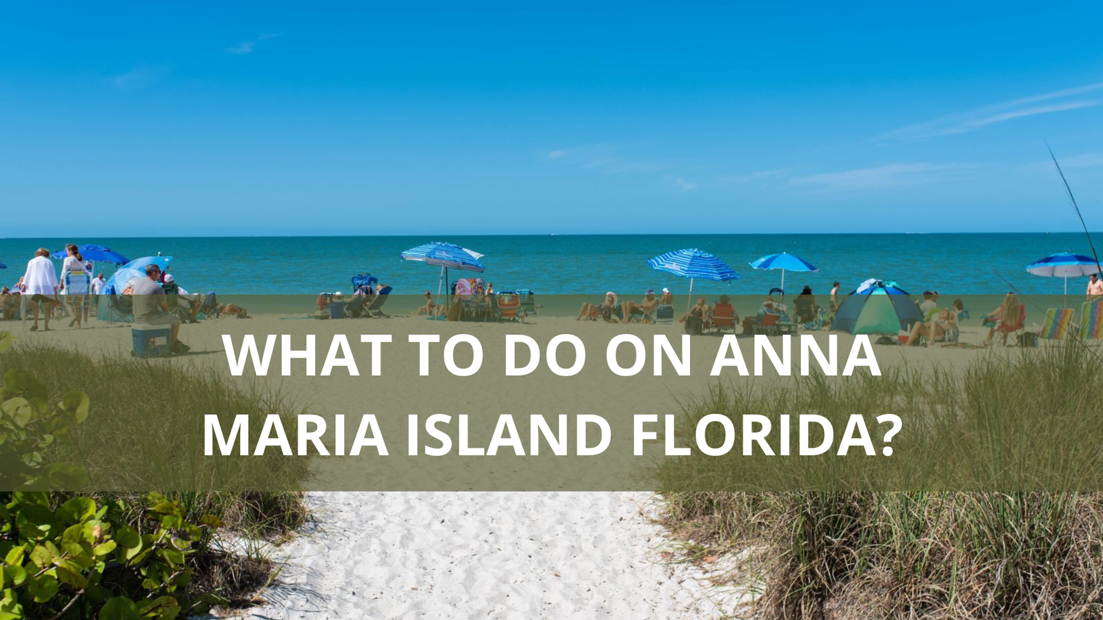 What to do on Anna Maria island Florida
