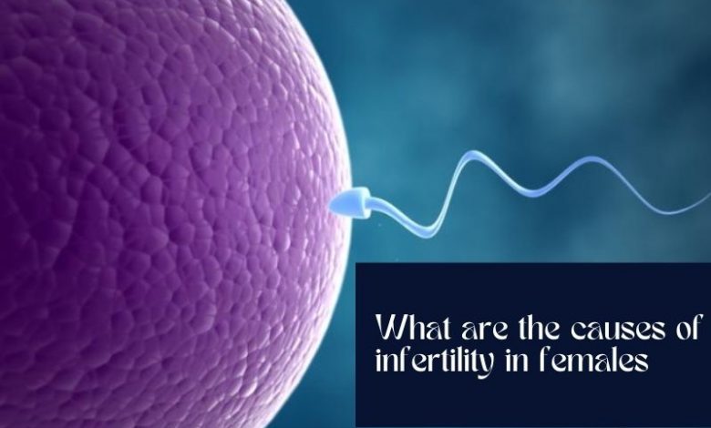 Infertility And Its Causes